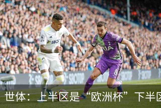 世体：上半区是“欧洲杯”下半区是“美洲杯”，英阿大战太迷人