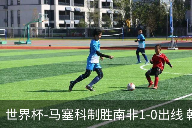 世界杯-马塞科制胜南非1-0出线 韩国积3分获小组第三待定