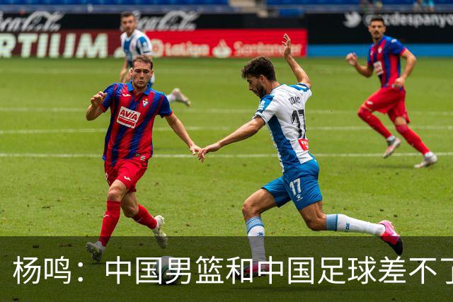 杨鸣：中国男篮和中国足球差不了太多，没有气场，失去了绝对优势